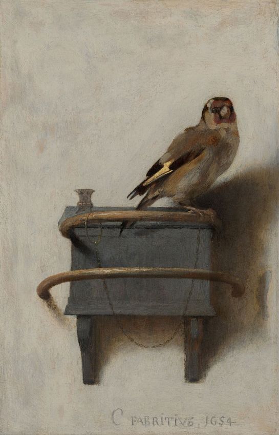 goldfinch
